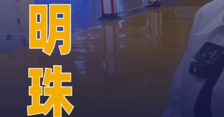 董明珠回应玫瑰空调争议