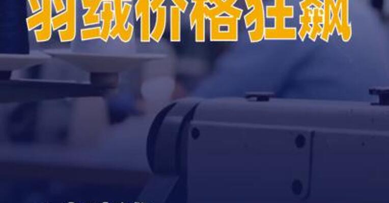 寒潮来袭 羽绒价格狂飙