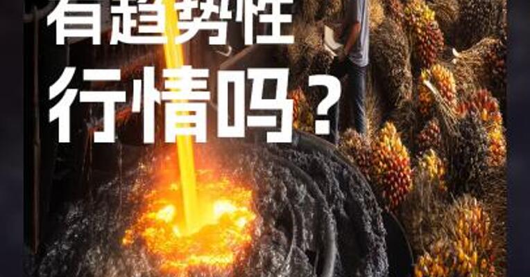 油脂市场 有趋势性 行情吗？