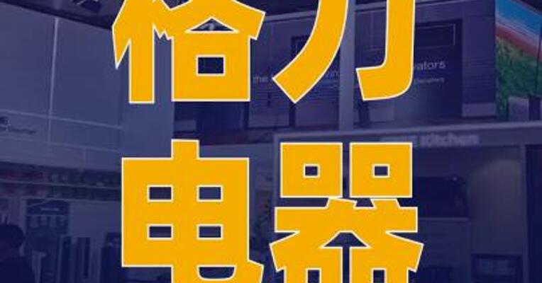 格力电器：已开发可用在 人形机器人上的核心零部件