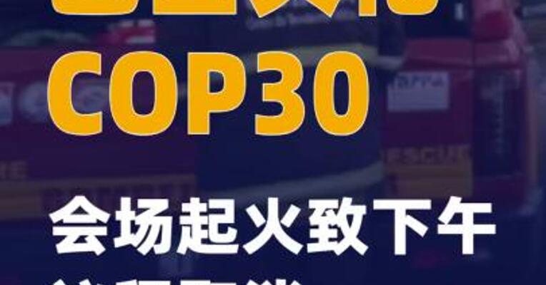 巴西贝伦COP30会场起火致下午议程取消