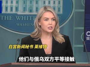 美结束俄乌冲突“28点计划”曝光：乌军规模限制在60万人以内，撤出顿涅茨克……泽连斯基：可以谈！美俄发声