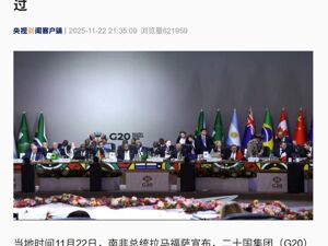 二十国集团领导人第二十次峰会宣言，获压倒性通过！