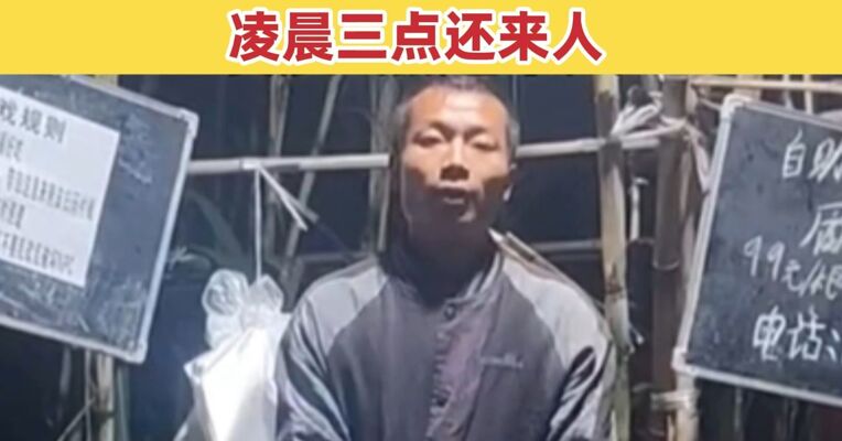 四川眉山“偷甘蔗农场”爆火 甘蔗9.9元/根 被抓到+6元 村支书：几百辆车排队 凌晨三点还来人