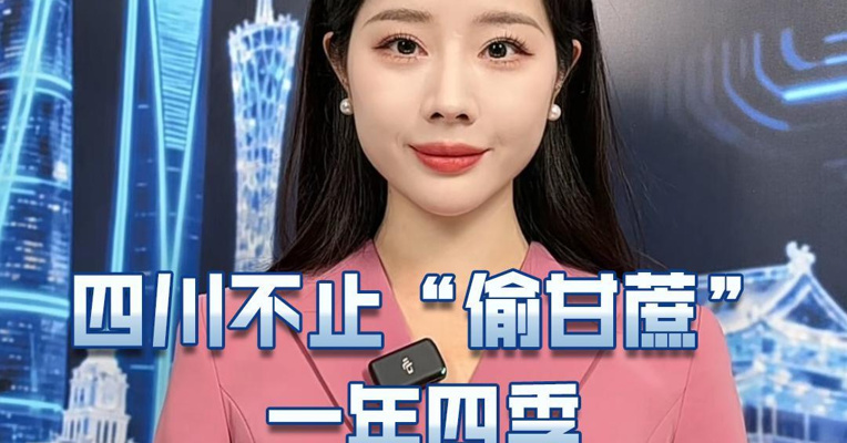 四川不止“偷甘蔗”  一年四季可“偷”