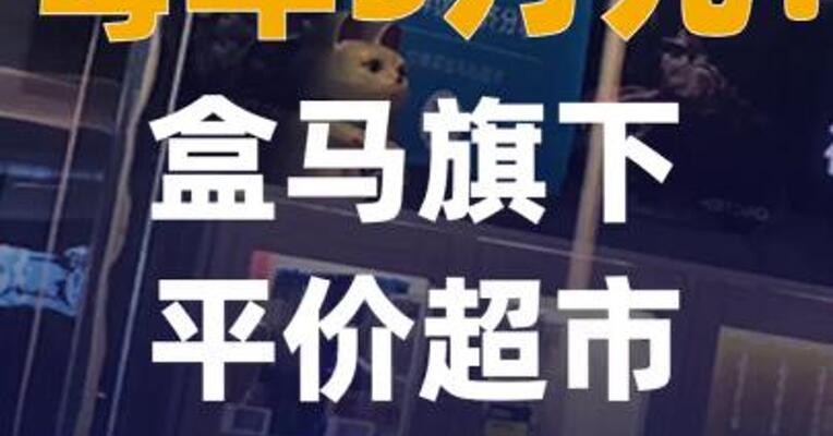 每年5万元盒马旗下平价超市 正式开放加盟