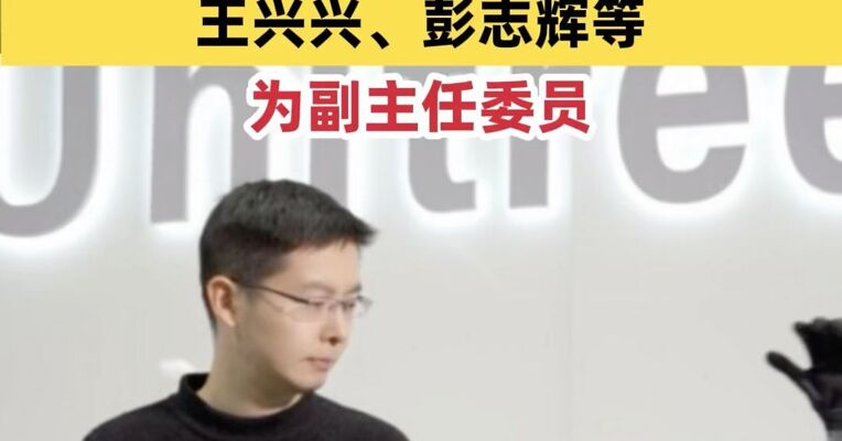 工信部人形机器人标委会名单公示！王兴兴、彭志辉等为副主任委员
