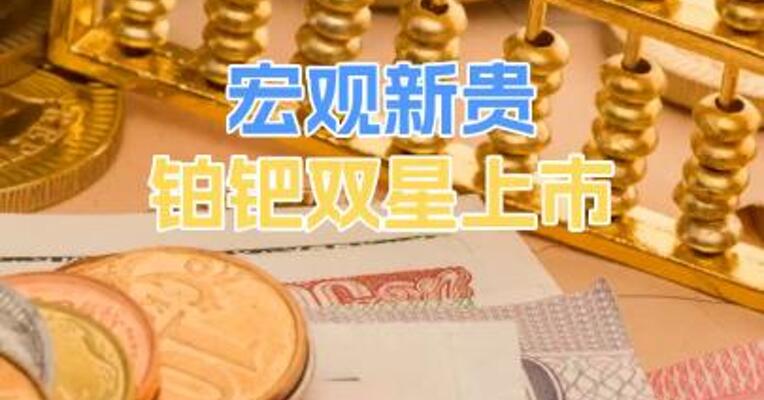 宏观新贵铂钯双星上市