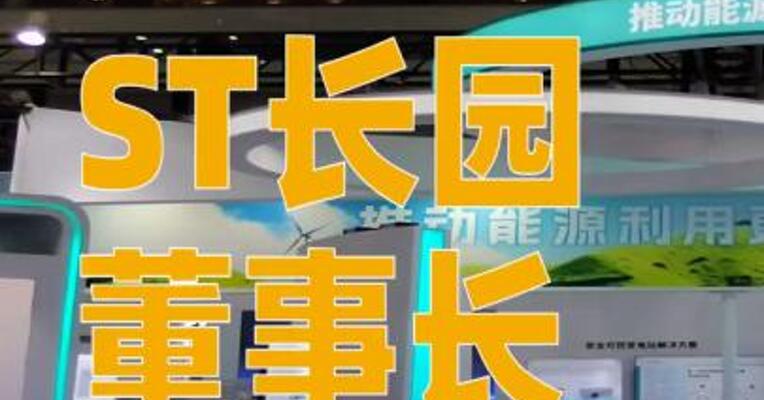 ST长园董事长，上任两个月即被留置
