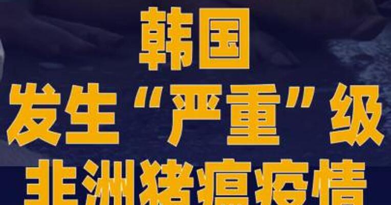 韩国发生“严重”级非洲猪瘟 疫情