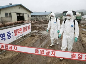 韩国发布这一“严重”级危机警报！发生了什么？
