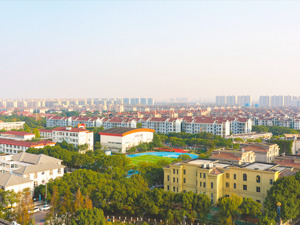 多家头部房企缺席，地块分化明显 上海今年第九批次土拍揽金逾173亿元