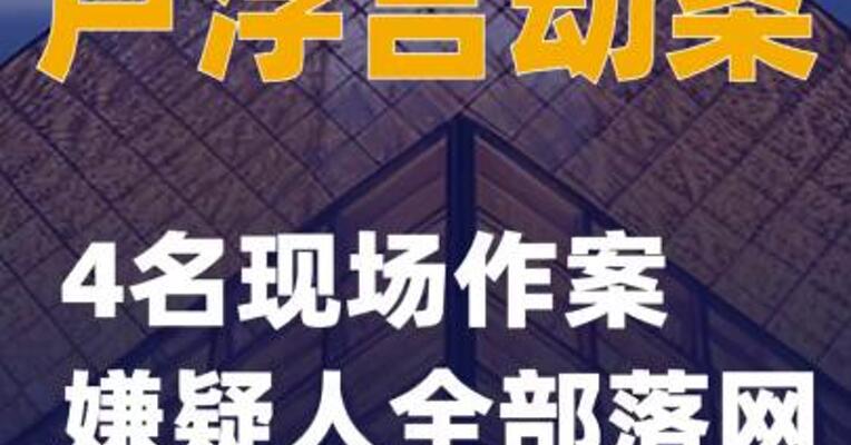 卢浮宫劫案4名现场作案嫌疑人全部落网