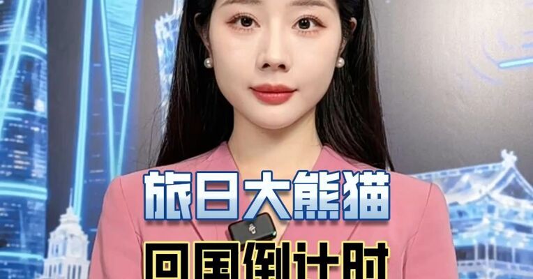 旅日大熊猫回国倒计时，日本或将没有大熊猫