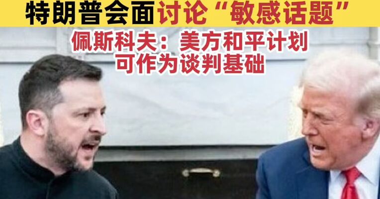 乌方否认已原则上同意美方和平计划，泽连斯基：已准备好与特朗普会面讨论“敏感话题”，泽连斯基拟于27日与特朗普会面，以达成和平协议；佩斯科夫：美方和平计划可作为谈判基础