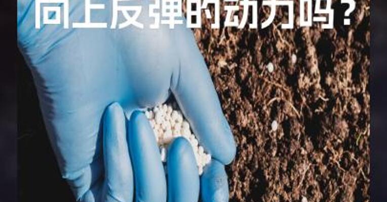 尿素有 向上反弹的动力吗？