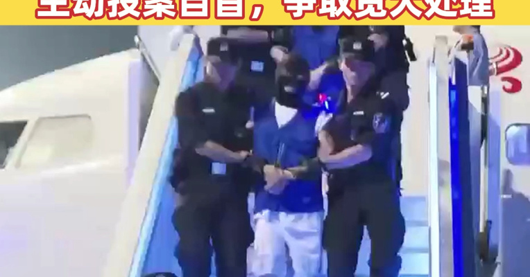 11名私彩赌博犯罪嫌疑人从马来西亚被押解回国 公安机关：主动投案自首，争取宽大处理