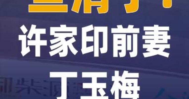 查清了！许家印前妻丁玉梅 更多资产曝光