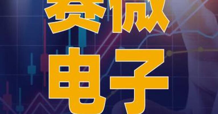 赛微电子：可能存在股价 大幅上涨后回落的风险