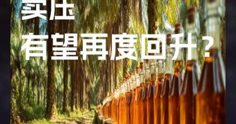 棕榈油期货 卖压 有望再度回升？