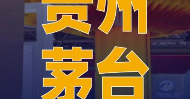 贵州茅台：选举陈华为董事长