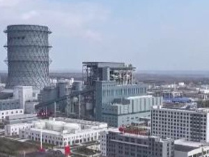 世界最大、全球首创、填补全球空白！我国在这一领域实现重要突破
