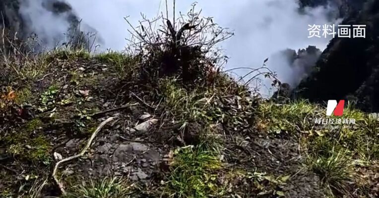 峨眉山发布公告：持有500股即免景区和索道门票