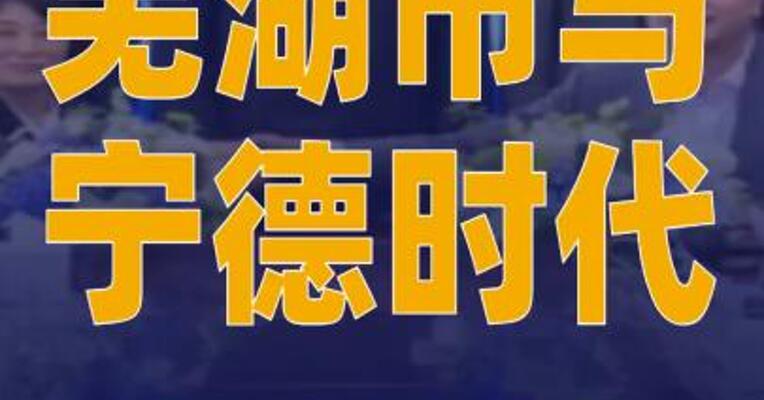 芜湖市与宁德时代签约多项合作协议