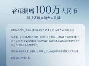 捐款100万人民币 谷雨驰援香港大埔火灾救援