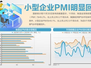 11月制造业PMI回升至49.2%：高技术制造业PMI为50.1%，连续10个月位于临界点以上