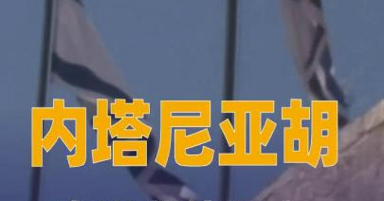 内塔尼亚胡向以总统提交赦免请求