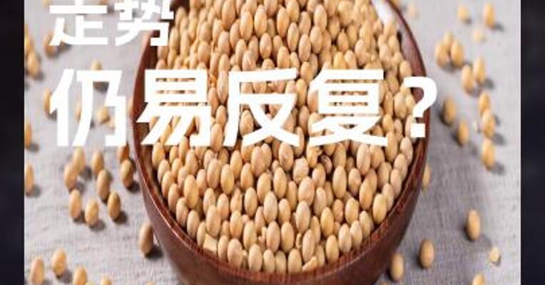 粕价 走势 仍易反复？