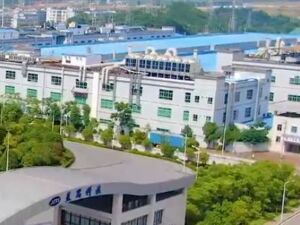 “果链”龙头蓝思科技独董谢志明因病逝世，享年53岁