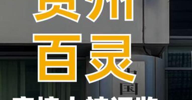 贵州百灵实控人被证监会立案