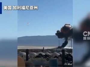 美空军一架F-16战机坠毁：剧烈爆炸腾起巨大火球，残骸散落满地