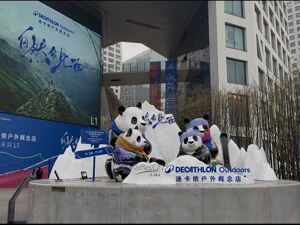 从迪卡侬到“西太后”，国际大牌为何都选择成都“试水”高阶业态？