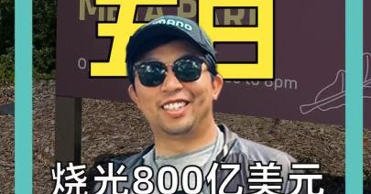 烧光800亿美元 Meta“断臂”