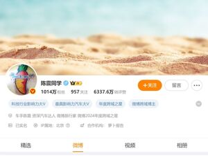 网络车评人陈震偷税被查，处理处罚共计247.48万元！各平台账号已被禁言或封禁