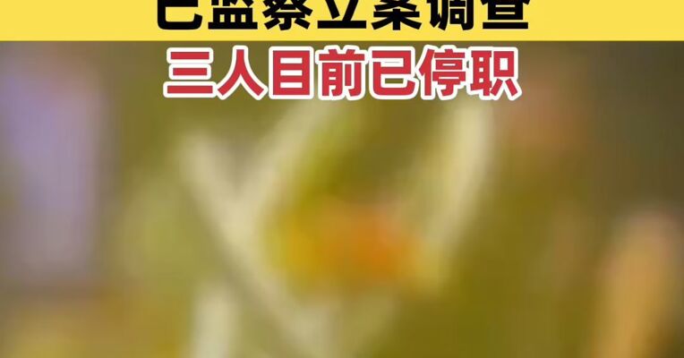 浙江国贸通报高管被举报接受有偿陪侍：已监察立案调查，三人目前已停职