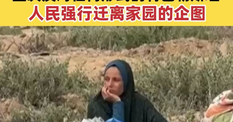 八国外长发表联合声明：坚决反对任何形式的将巴勒斯坦人民强行迁离家园的企图