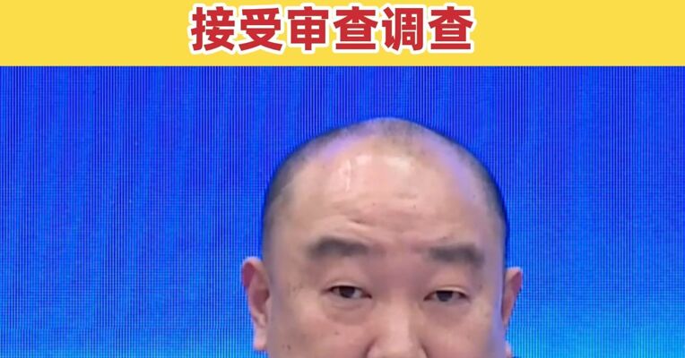 中国人民保险集团股份有限公司副总裁于泽接受审查调查