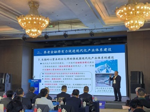 如何发展长期耐心资本？专家热议资产型养老金体系建立