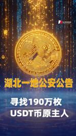 湖北一地公安公告：尋找190萬枚USDT幣原主人