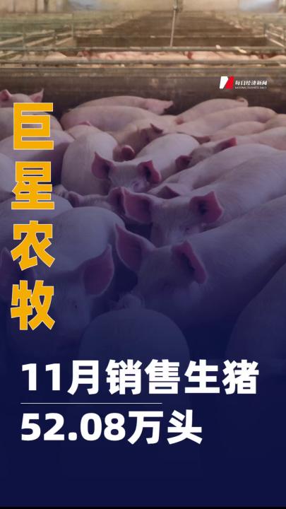 巨星農(nóng)牧：11月銷售生豬52.08萬頭