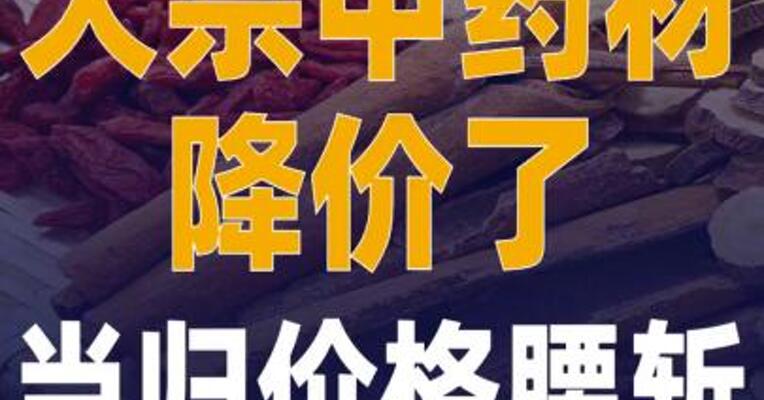 大宗中药材降价了 当归价格 腰斩