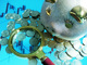 30880186.thumb_hs