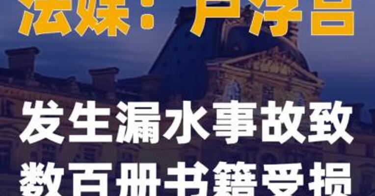 法媒：卢浮宫发生漏水事故致数百册书籍受损