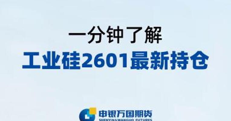 一分钟了解工业硅2601最新持仓