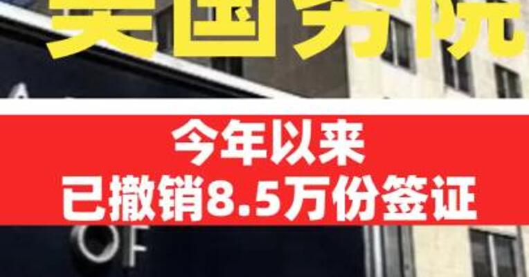 美国国务院：今年以来已撤销8.5万份签证