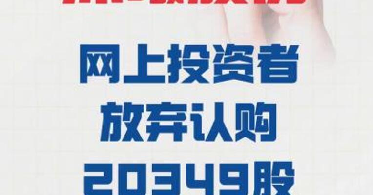 沐曦股份：网上投资者 放弃认购20349股